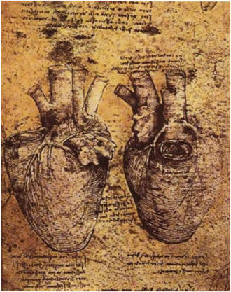 Leonardo da Vinci, El Corazón.