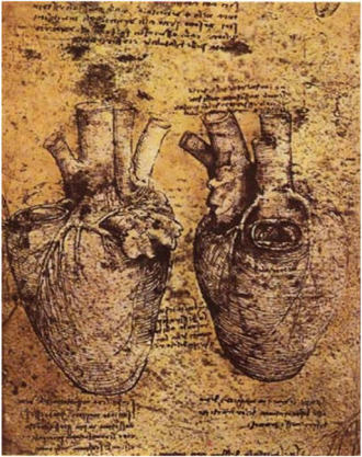 Leonardo da Vinci, El Corazón. Leonardo da Vinci, El Corazón.