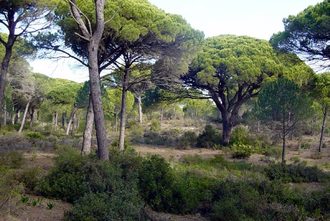 Parque Natural de La Breña