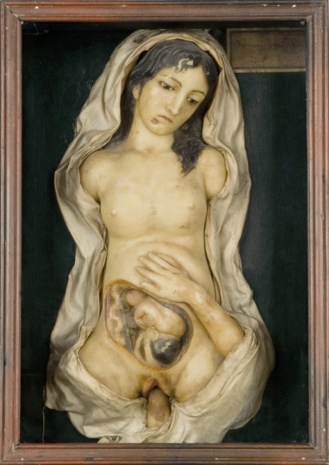 Anatomía de Venus de Jules Talrich (anatomista, escultor y ceroplástico francés) S. XIX