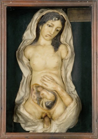 Anatomía de Venus de Jules Talrich (anatomista, escultor y ceroplástico francés) S. XIX Anatomía de Venus de Jules Talrich (anatomista, escultor y ceroplástico francés) S. XIX