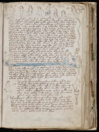 Ilustración perteneciente al Manuscrito Voynich ¿siglo XVI?