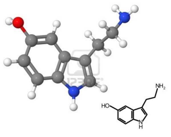 Serotonina