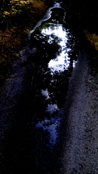 Charco de hombre y reflejos de cielo y árbol. Fotografía de Olmo Z. Junio 2015 Charco de hombre y reflejos de cielo y árbol. Fotografía de Olmo Z. Junio 2015