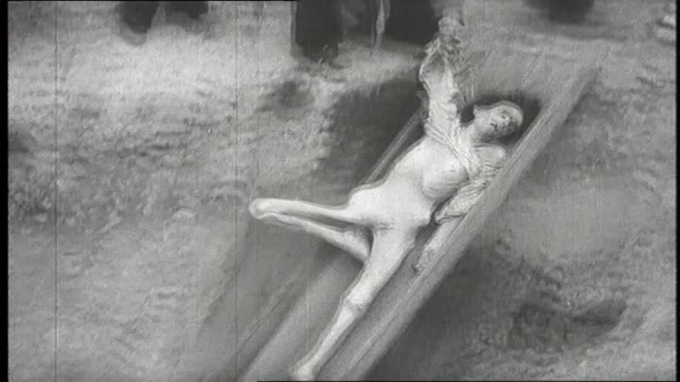 Rosa (10)  Rosa (10)