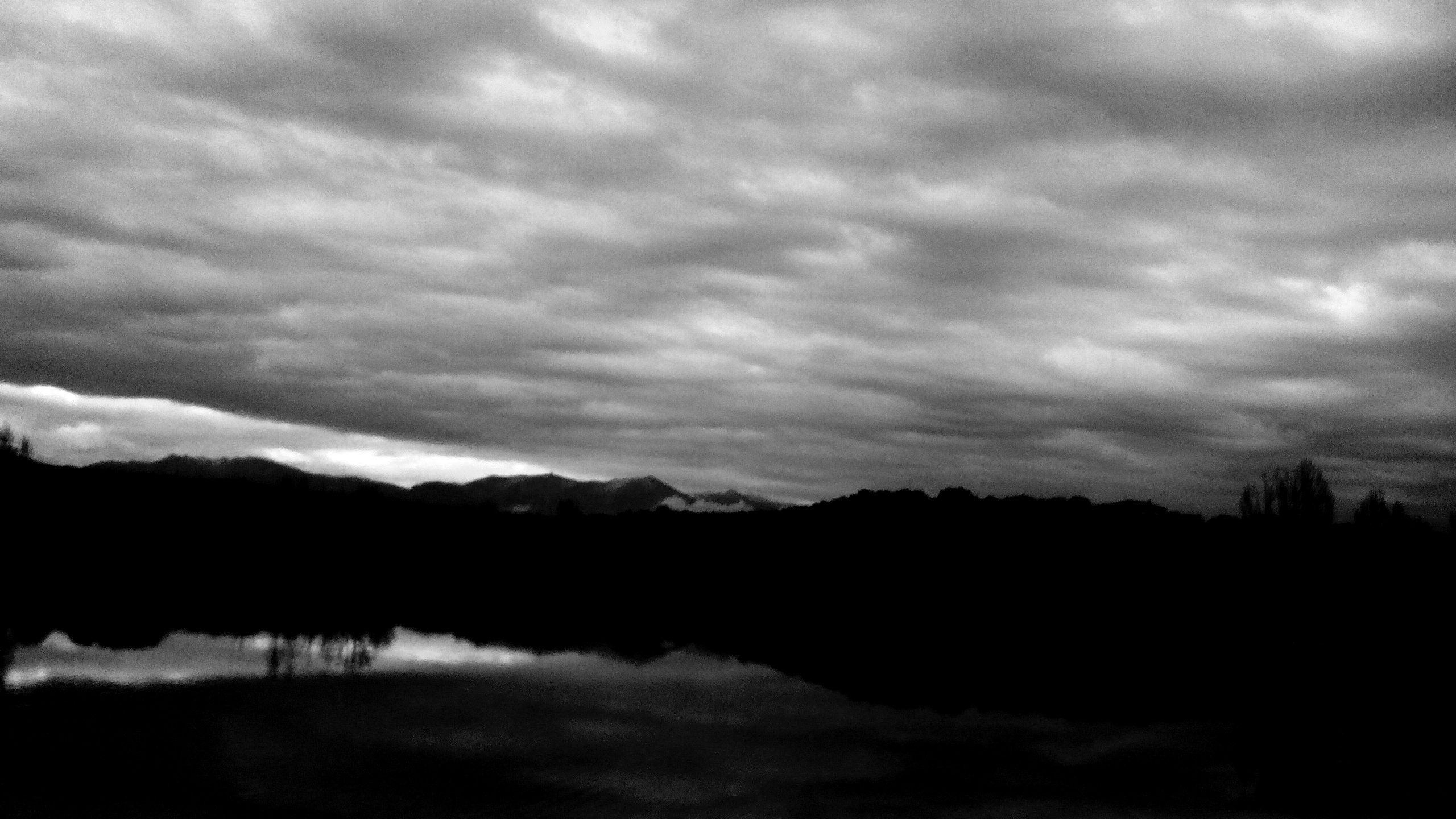 Preñez. Fotografía de Olmo Z. 2015 Preñez. Fotografía de Olmo Z. 2015