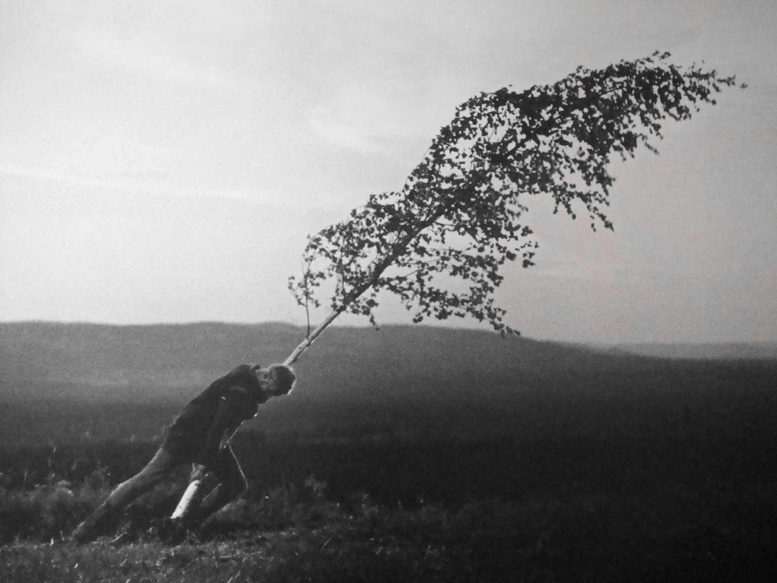 Fotograma de Jungfrukällan (El Manantial de la Doncella) de Ingmar Bergman. 1960