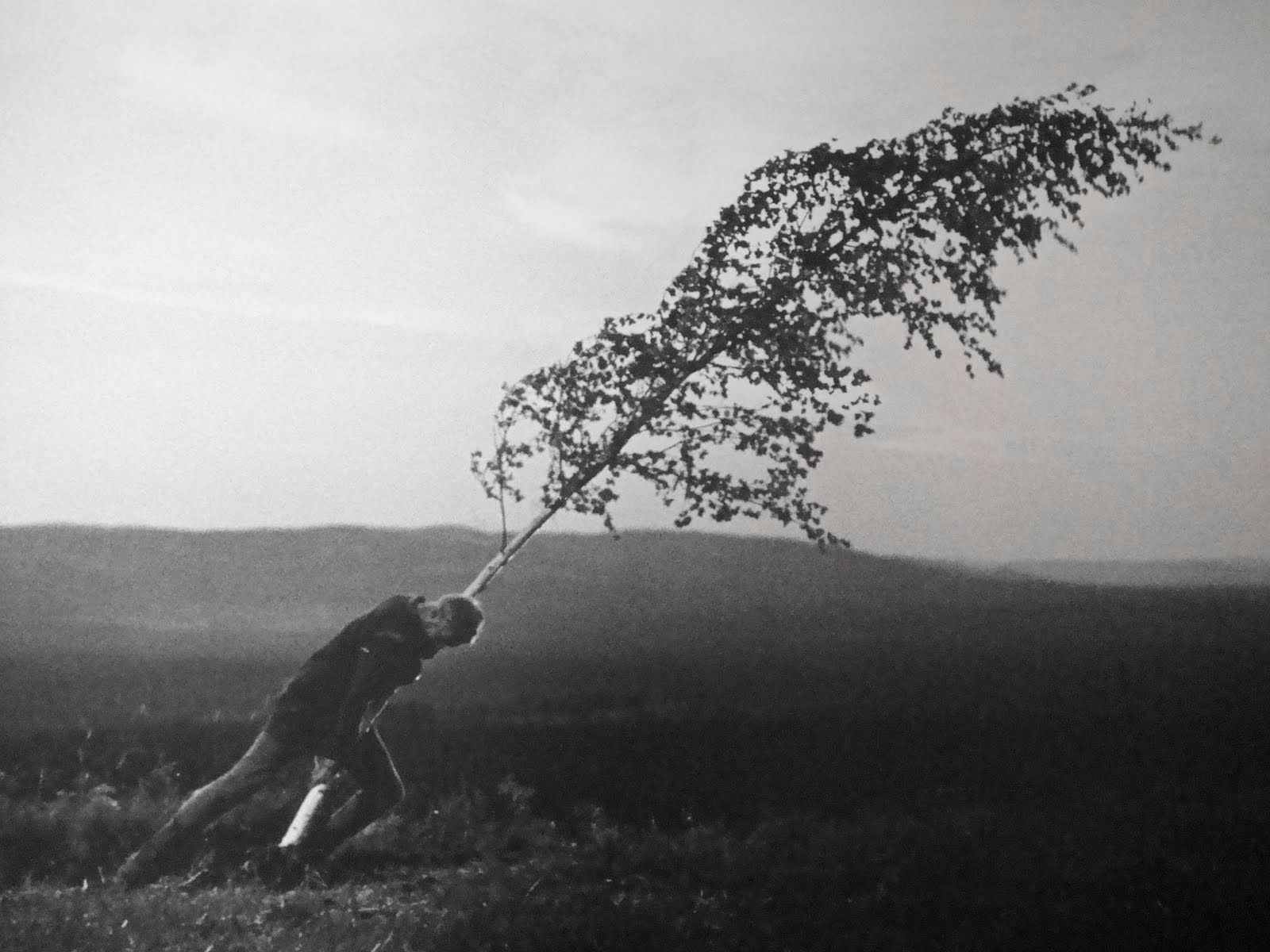Fotograma de Jungfrukällan (El Manantial de la Doncella) de Ingmar Bergman. 1960 Fotograma de Jungfrukällan (El Manantial de la Doncella) de Ingmar Bergman. 1960