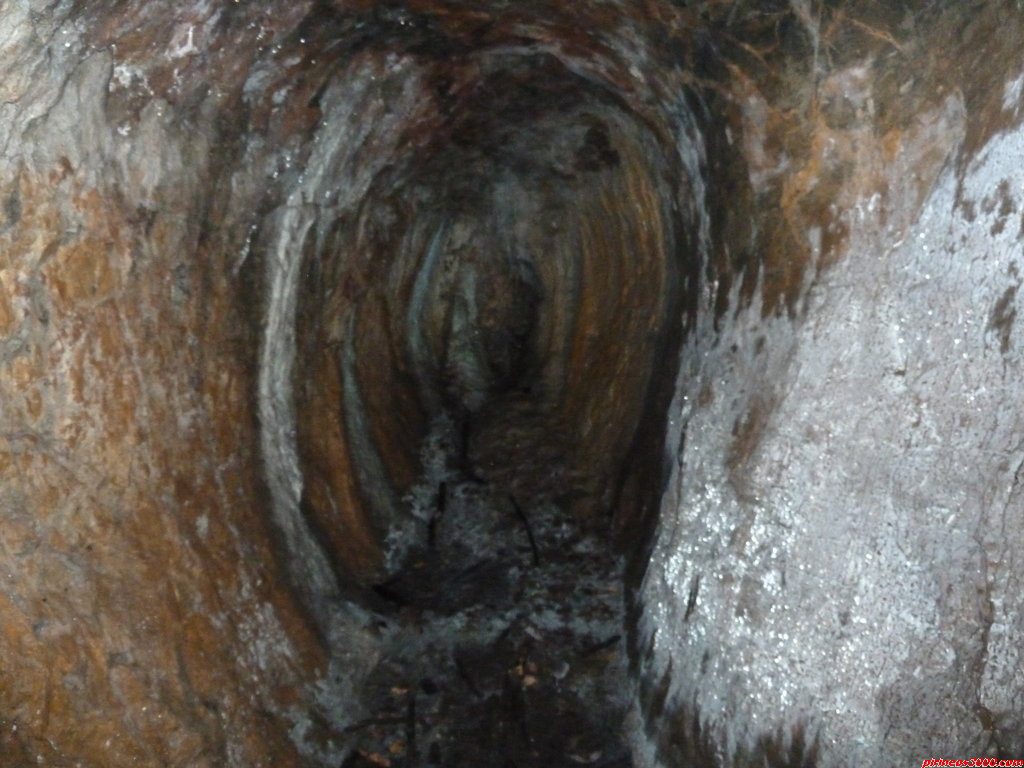 La fecundidad, la muerte, los mineros La fecundidad, la muerte, los mineros