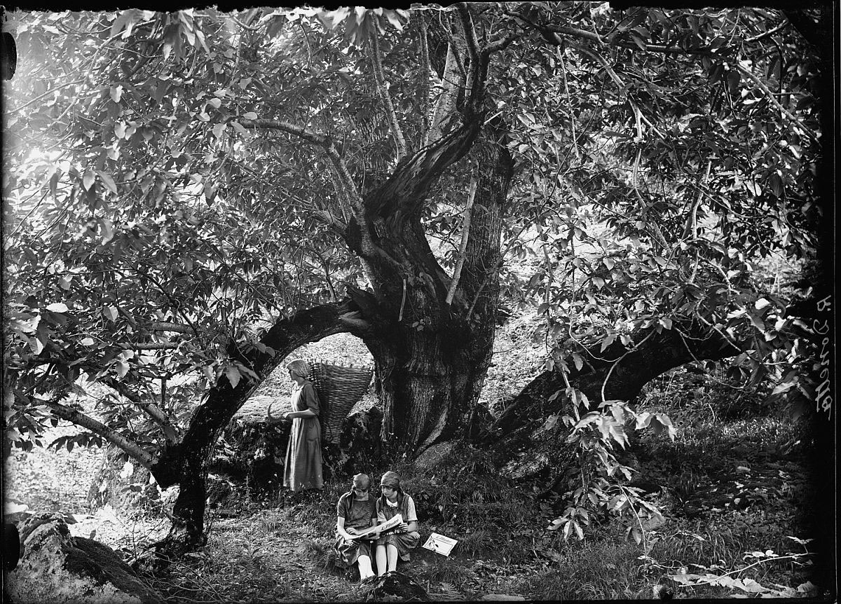 Roberto Donetta 1865-1932 Roberto Donetta 1865-1932
