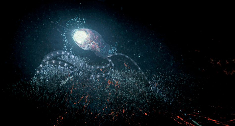 Naturaleza Naturaleza