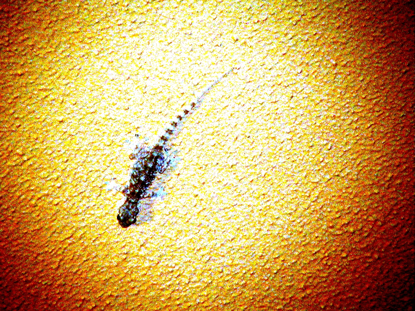 Máscara 1. Foto de Olmo Z. (2014) Máscara 1. Foto de Olmo Z. (2014)