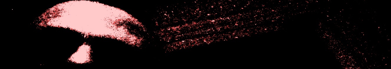 Autorretrato 3. Fotografía de Olmo Z. (2014) Autorretrato 3. Fotografía de Olmo Z. (2014)