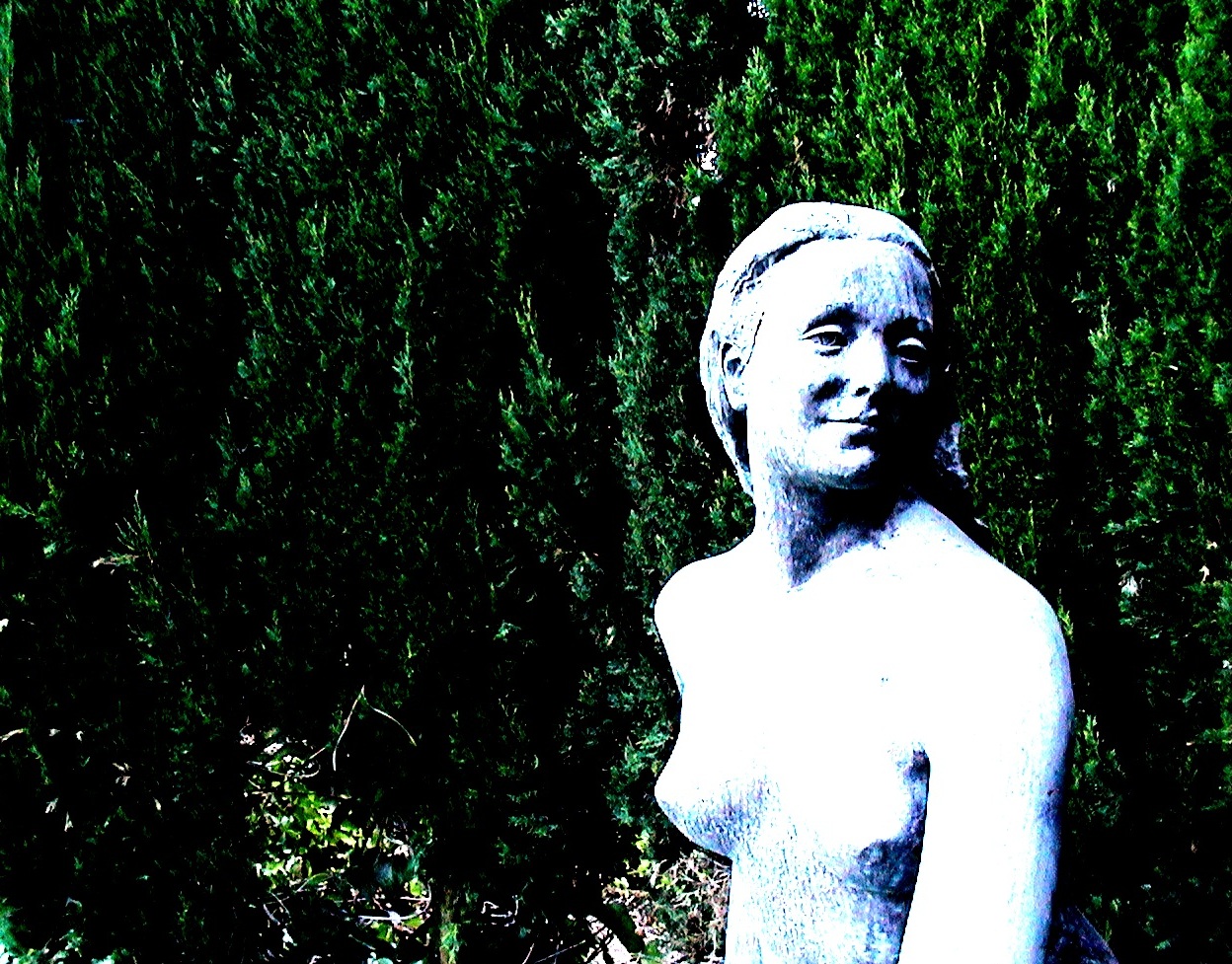 S./T. Fotografía de Olmo Z. (2014) S./T. Fotografía de Olmo Z. (2014)