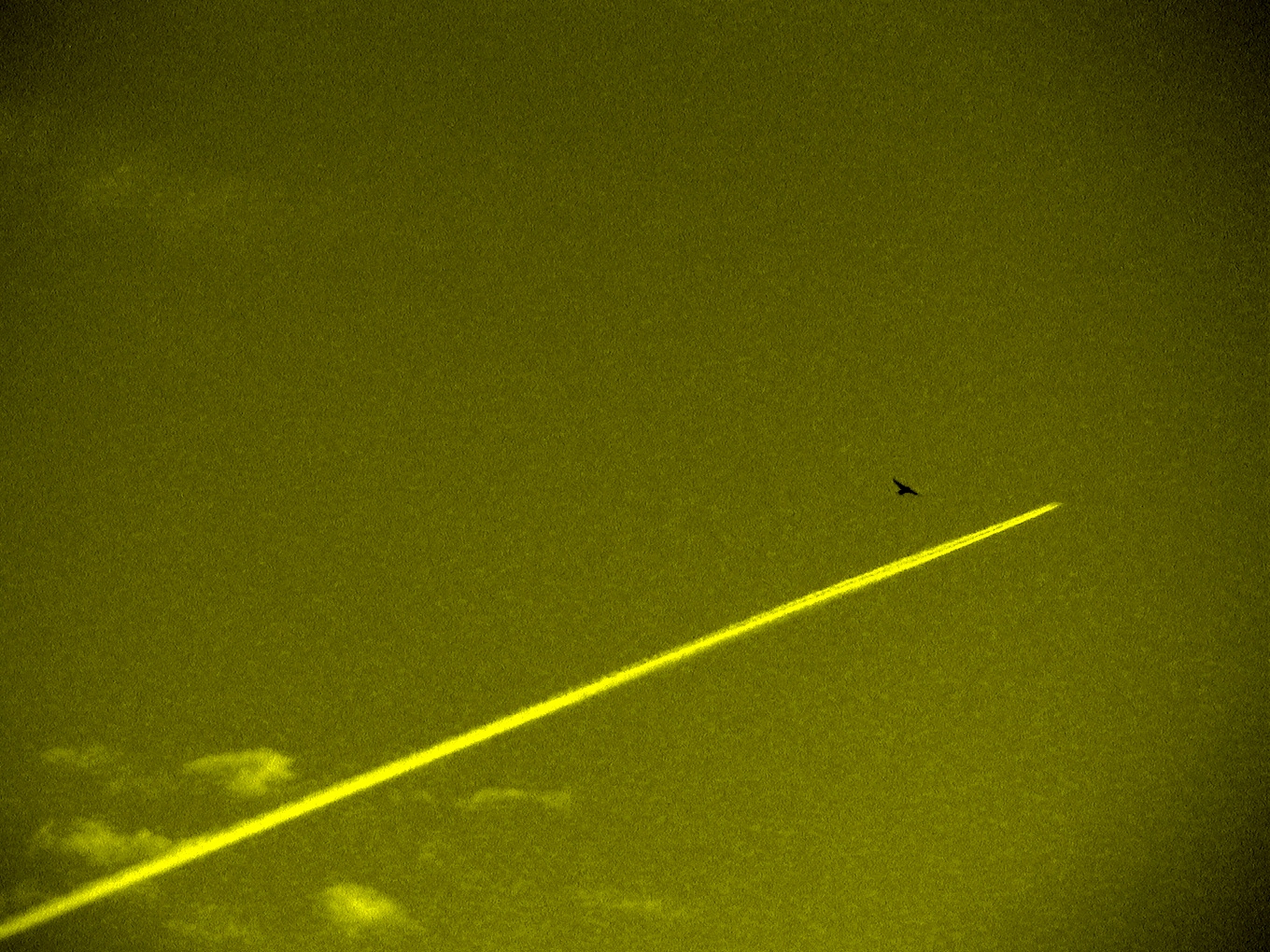 Migración. Fotografía de Olmo Z. (Agosto 2014) Migración. Fotografía de Olmo Z. (Agosto 2014)