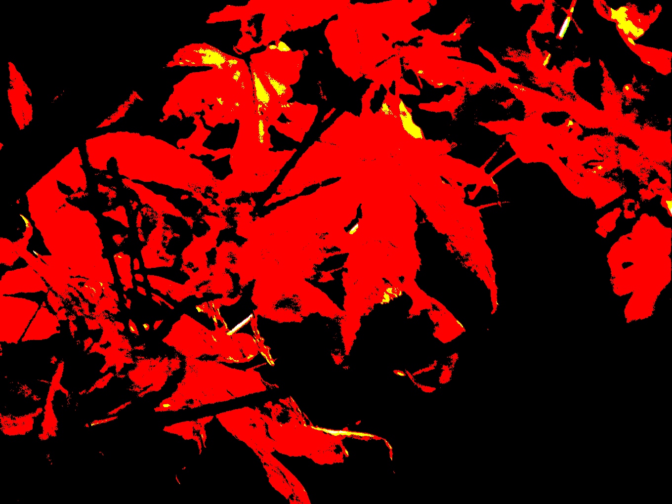 Deconstrucción de bandera. Foto de Olmo Z. Noviembre 2014 Deconstrucción de bandera. Foto de Olmo Z. Noviembre 2014