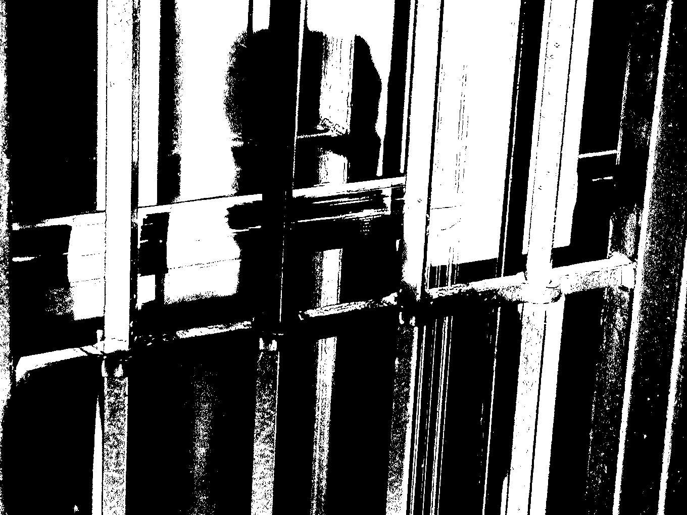 Fierro. Fotografía de Olmo Z. Agosto 2014 Fierro. Fotografía de Olmo Z. Agosto 2014