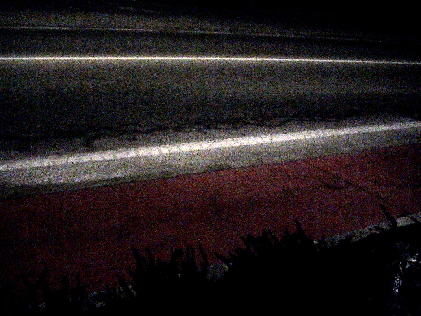 Rotkiana. Fotografía de Olmo Z. Febrero 2015 Rotkiana. Fotografía de Olmo Z. Febrero 2015