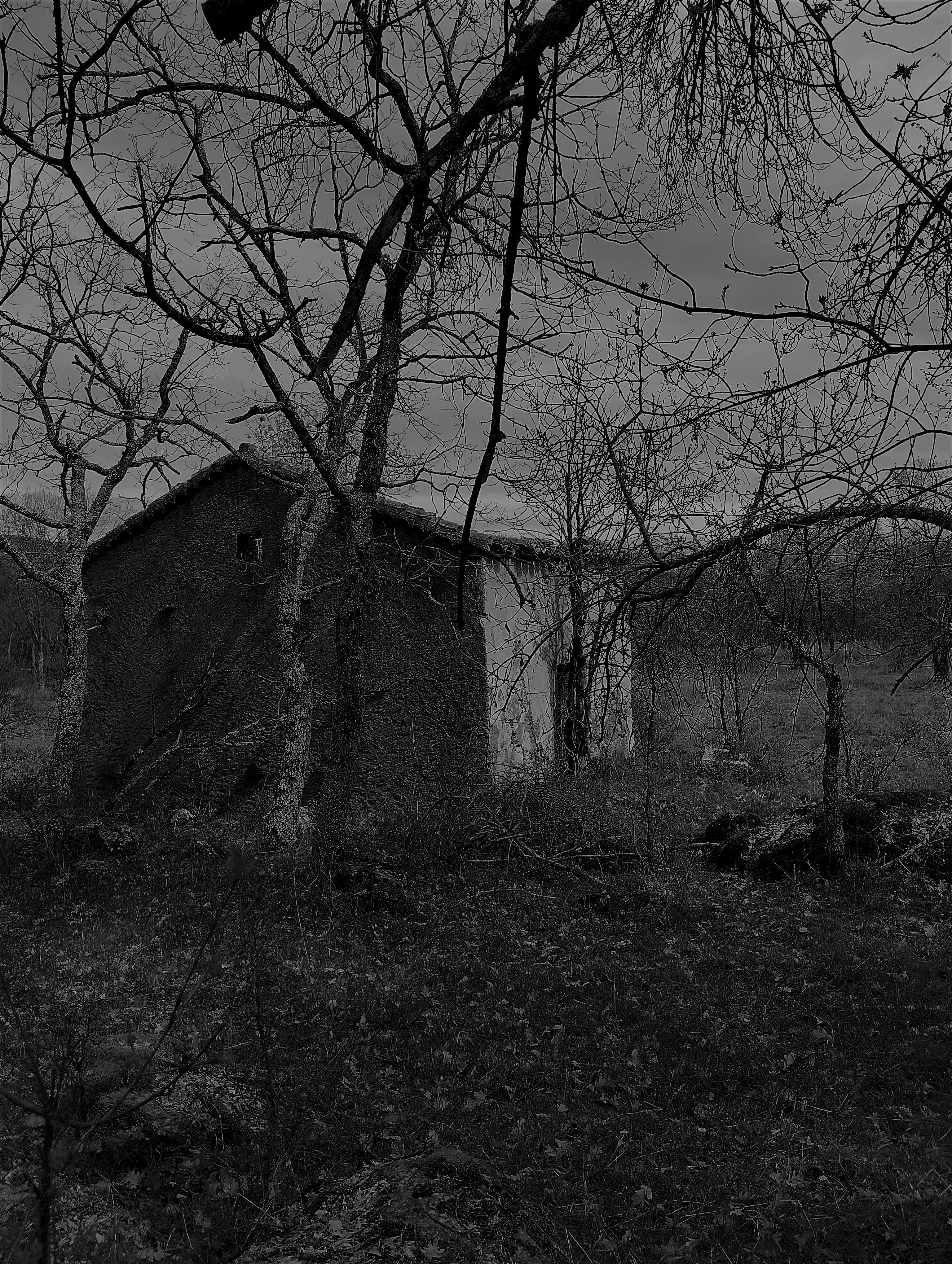Casa derruida. Original de Olmo Z. 2023 Casa derruida. Original de Olmo Z. 2023