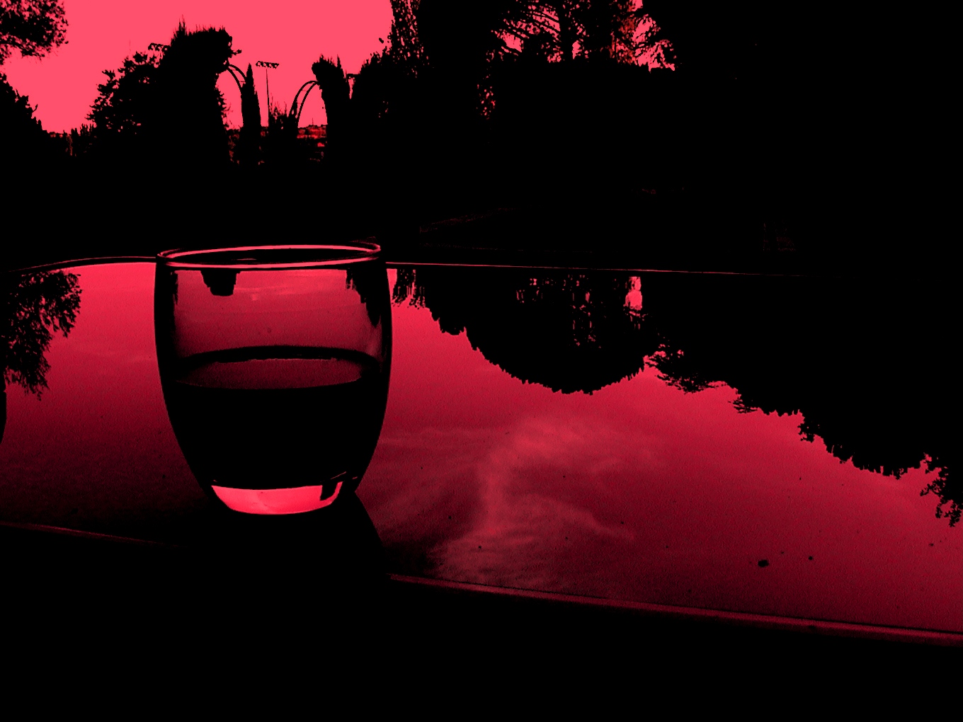 ¿Rosa tirando a rojo? Fotografía de Olmo Z. Agosto 2014 ¿Rosa tirando a rojo? Fotografía de Olmo Z. Agosto 2014
