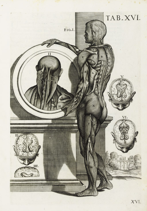 Pietro Berretini da Crotona Tabulae Anatomicae XVI Pietro Berretini da Crotona Tabulae Anatomicae XVI