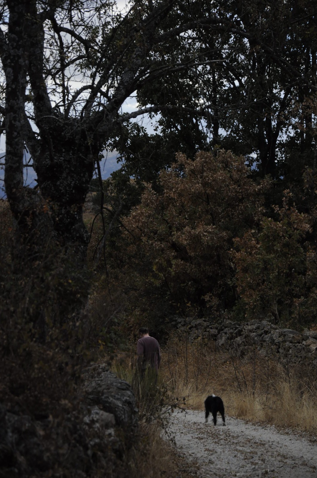 Nilo y yo en el camino. Fotografía de Liana Luchini Solano. 12 de octubre de 2025